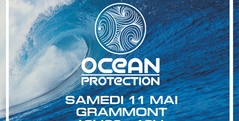 Samedi 11 Mai INTERVENTION PARTENAIRE – OCEAN PROTECTION
