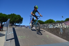 StageBMX2428juil17-12-BD